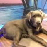 Allianz Versicherung Stefan Kowalski Potsdam - Allianz Potsdam