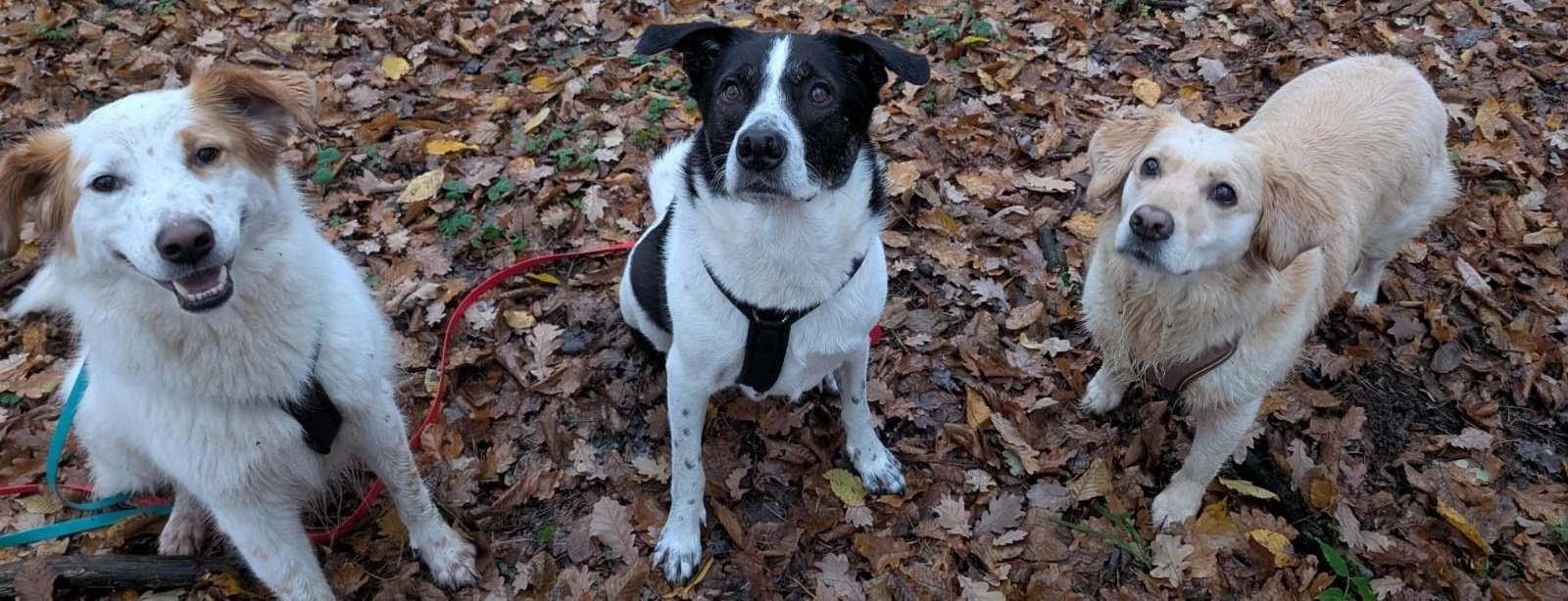 Allianz Versicherung Stefan Liebl Bayreuth - Krankenversicherung_Bayreuth_Allianz_Liebl