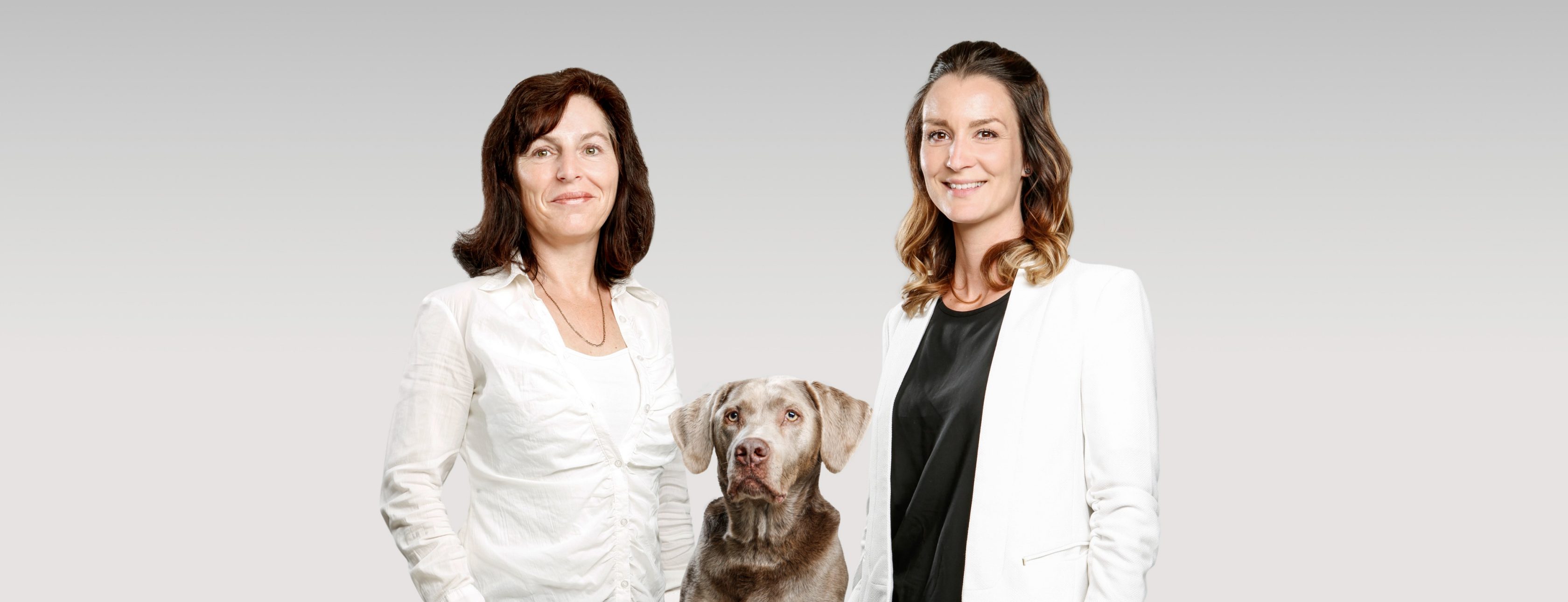Allianz Versicherung Stefanie Kuhs Dallgow-Döberitz - Profilbild Agenturteam