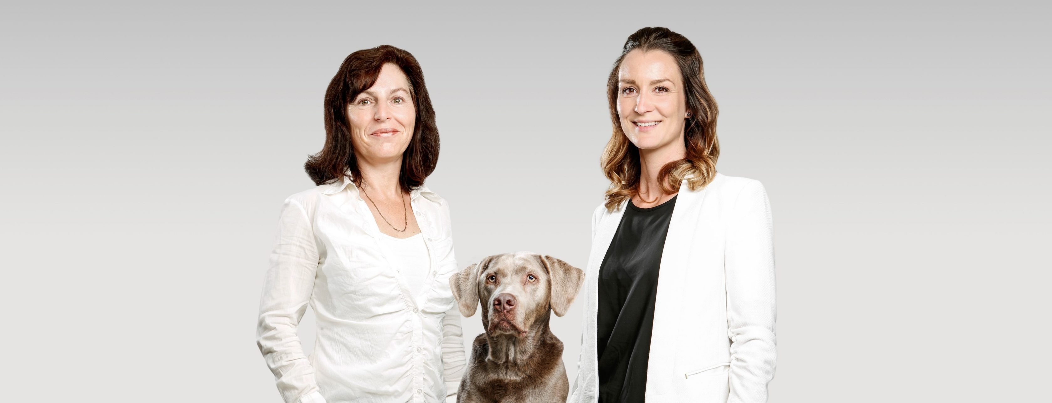 Allianz Versicherung Stefanie Kuhs Dallgow-Döberitz - Titelbild