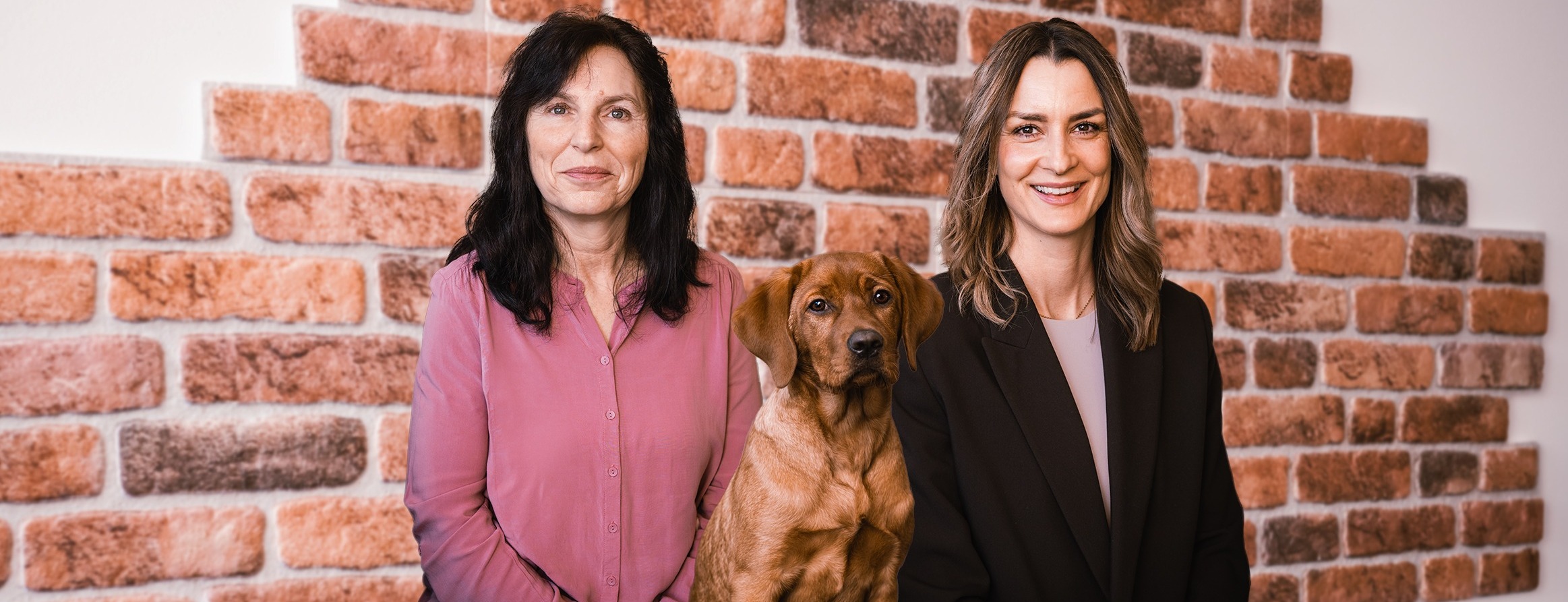 Allianz Versicherung Stefanie Kuhs Dallgow-Döberitz - Titelbild