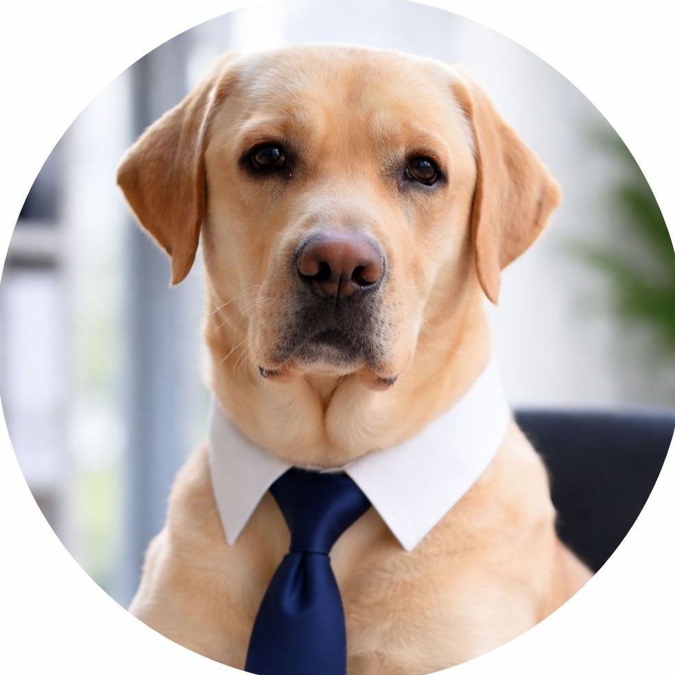 Allianz Versicherung Stefano Stoico Herrenberg - Archy Stoico