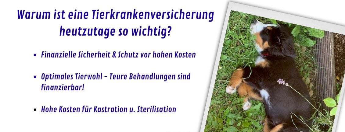 Allianz Versicherung Steffen Endres Geroldshausen - Herzlich Willkommen. Wir freuen uns auf Dich!