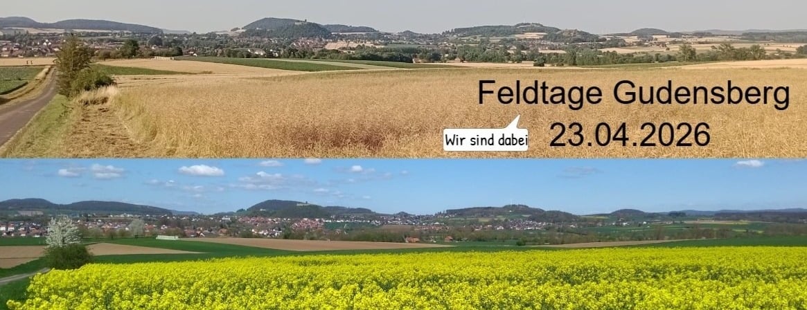 Allianz Versicherung Steffen Grünewald Gudensberg - Titelbild