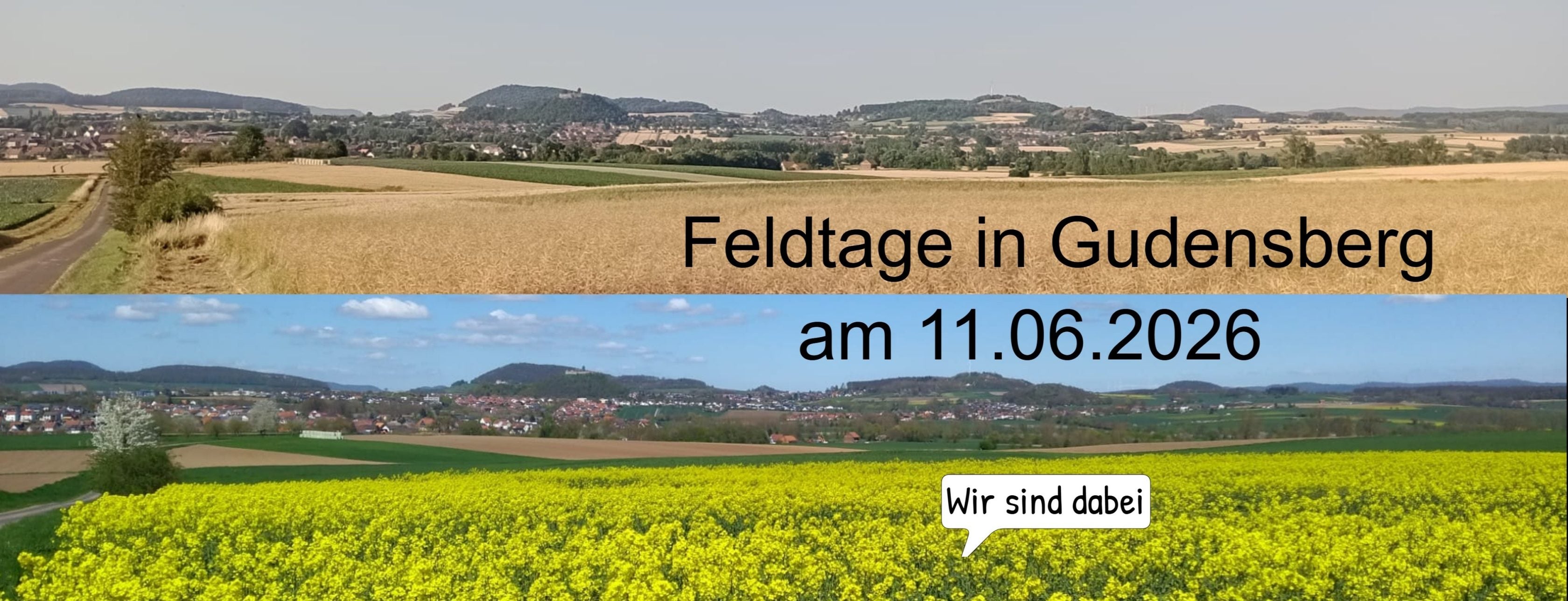 Allianz Versicherung Steffen Grünewald Gudensberg - Titelbild