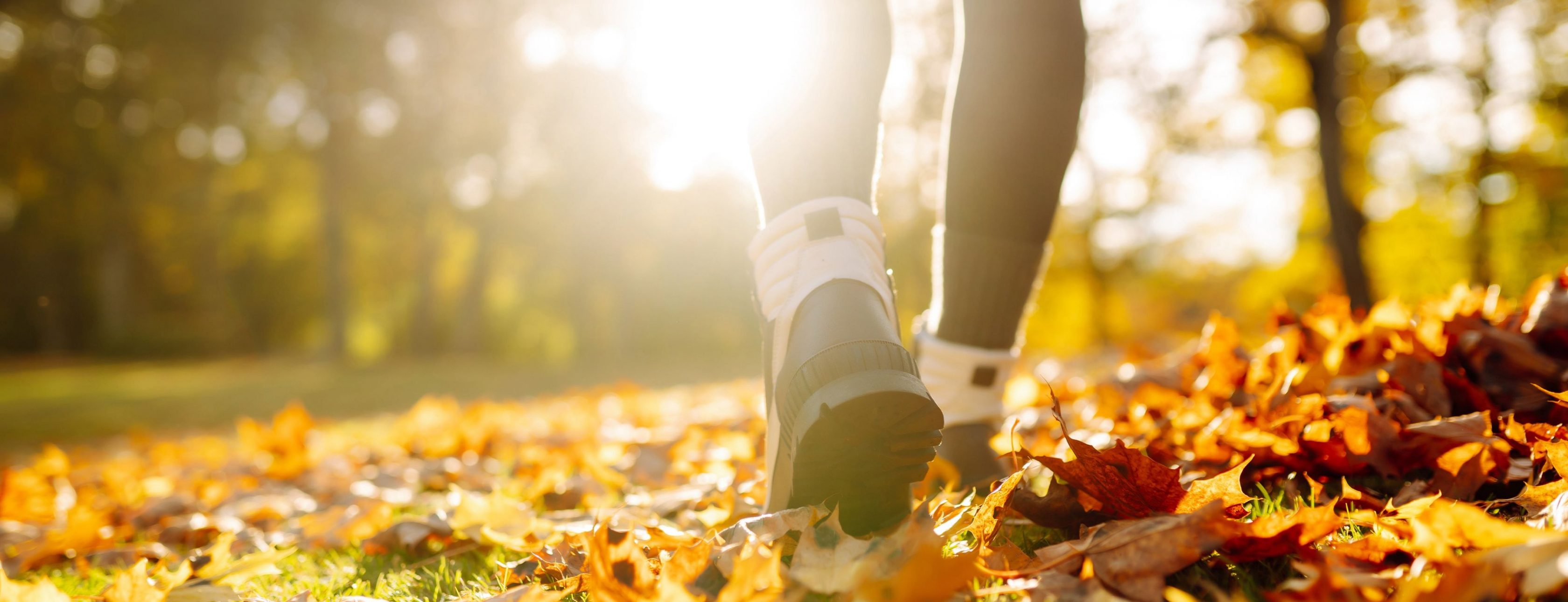 Allianz Versicherung Sven Hensel Weinböhla - Ihr Vermögen, Ihre Sicherheit in guten Händen