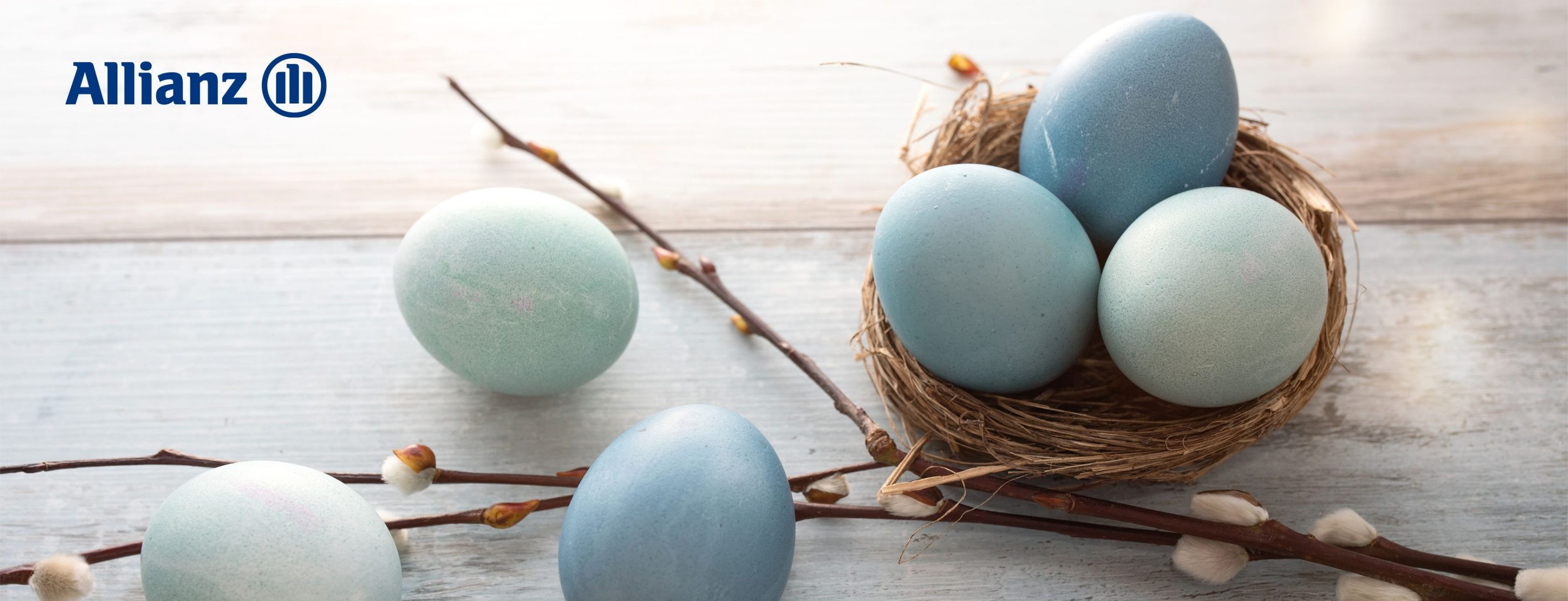 Allianz Versicherung Sven Russek Lübben Spreewald - Firmenspezialist für alle Regionen Deutschlands