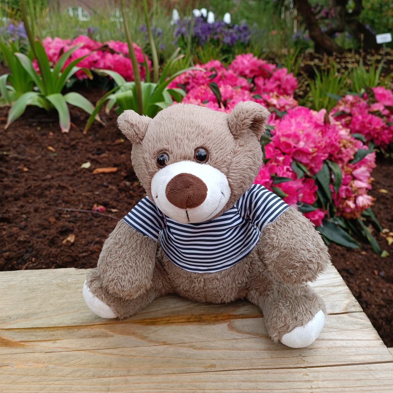 Allianz Versicherung Tanja Rigbers Westerstede - Bruno :-)