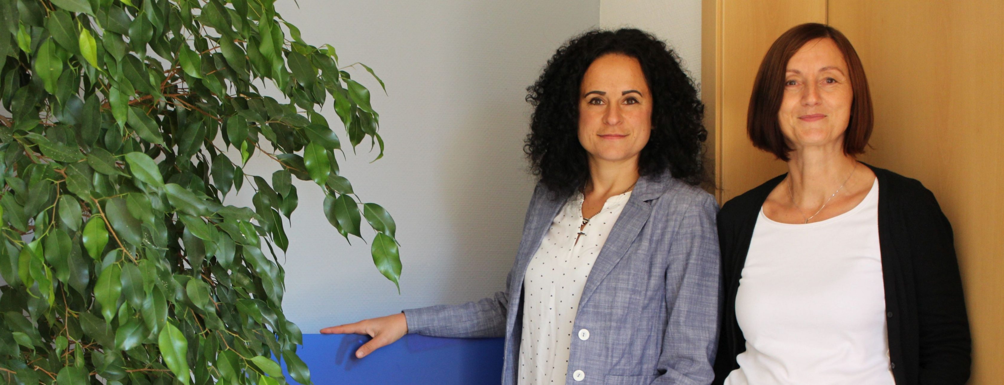 Allianz Versicherung Teresa Lampert Nessetal - Versicherung Teresa Lampert Nessetal