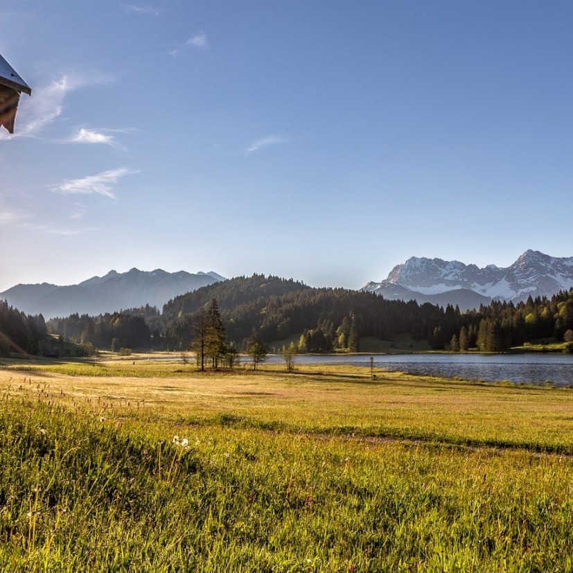 Allianz Versicherung Thaddaeus Kuerner e.K. St.Peter - Wiese