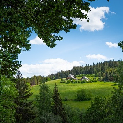 Allianz Versicherung Thaddaeus Kuerner e.K. St.Peter - https://pixabay.com/de/users/blickpixel-52945/