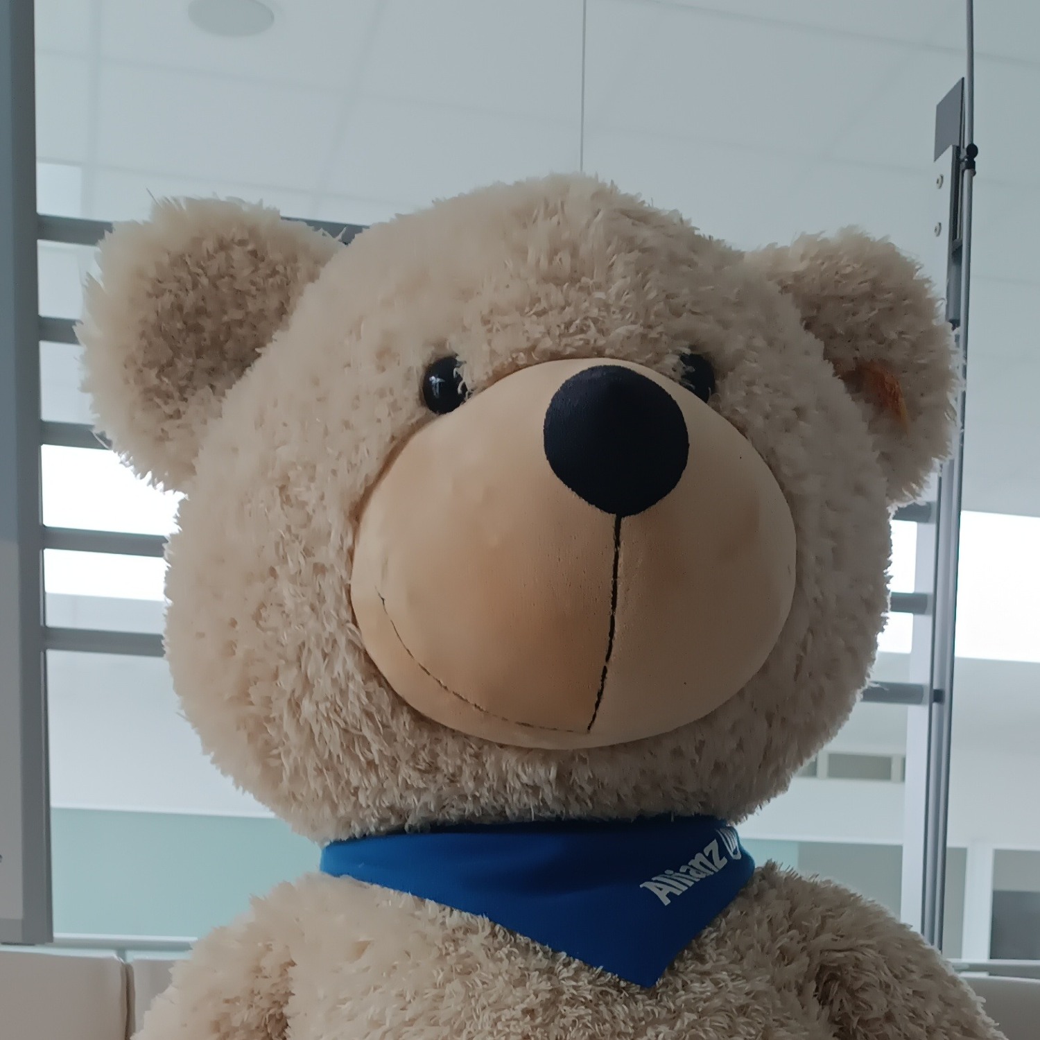Allianz Versicherung Thomas Bauz Hohenmölsen - Bruno von der Enkelpolice
