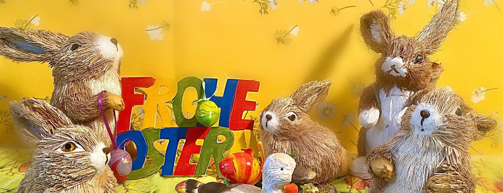 Allianz Versicherung Thomas Hoser Leipzig - Mopedsaison 2026/2027