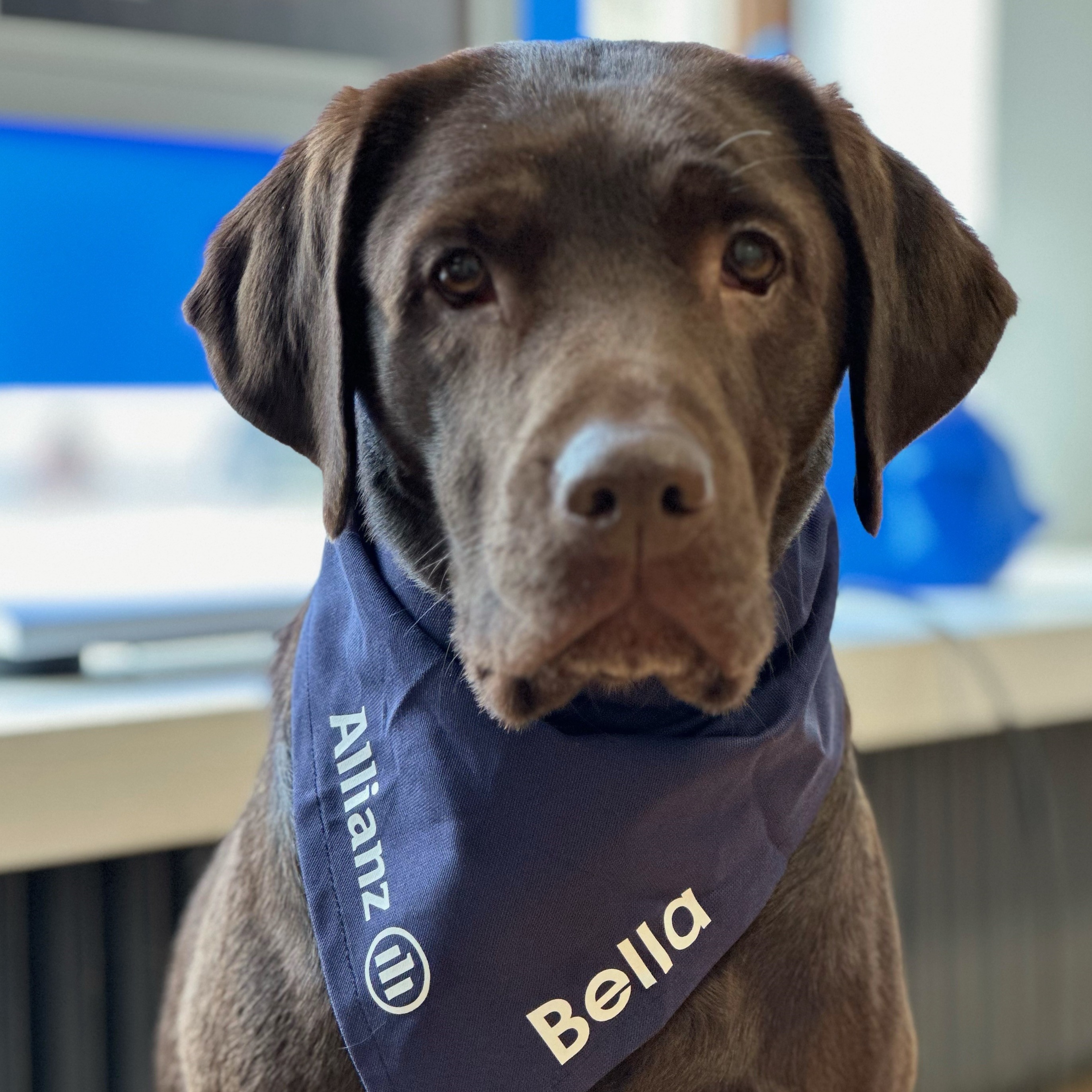 Allianz Versicherung Thomas Logemann Bremen - Bella