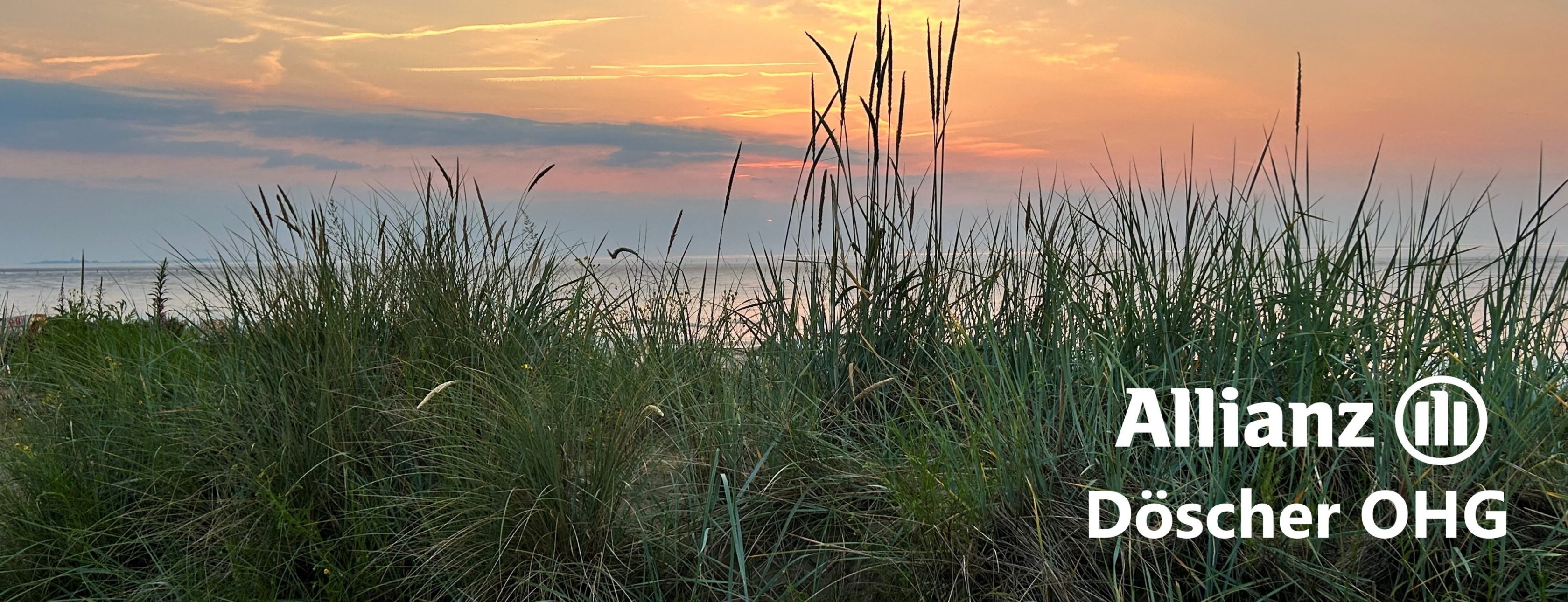 Allianz Versicherung Döscher OHG Cuxhaven - Titelbild