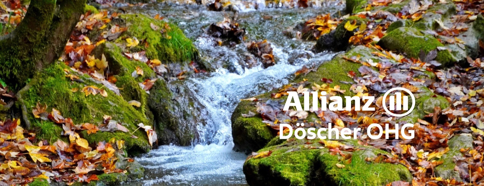Allianz Versicherung Döscher OHG Cuxhaven - Titelbild