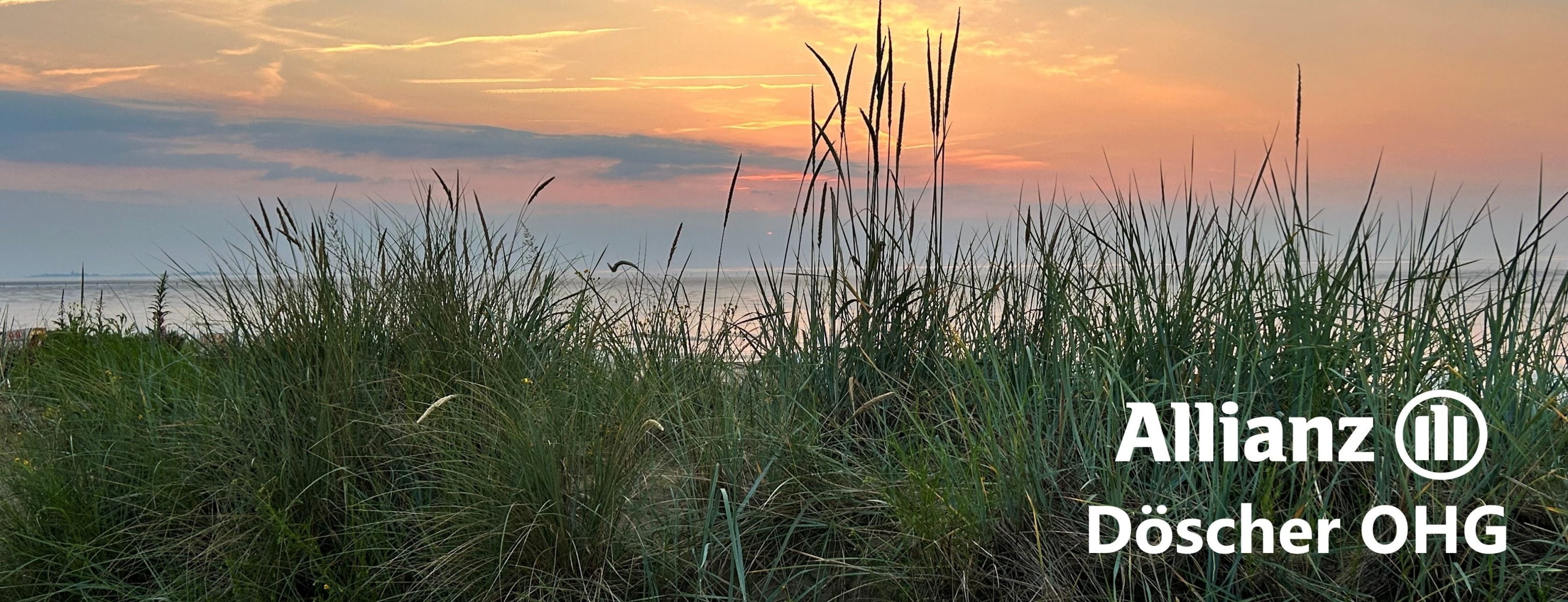 Allianz Versicherung Döscher OHG Cuxhaven - Titelbild