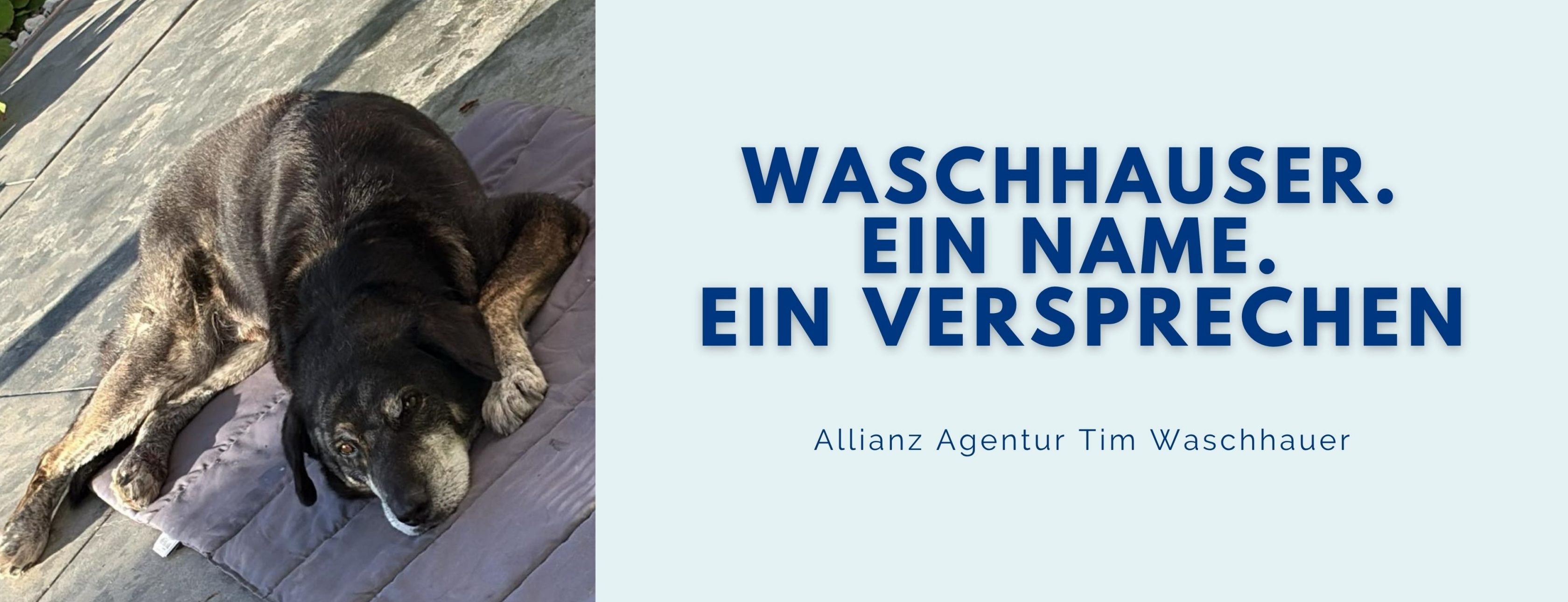 Allianz Versicherung Tim Waschhauser Regen - Titelbild