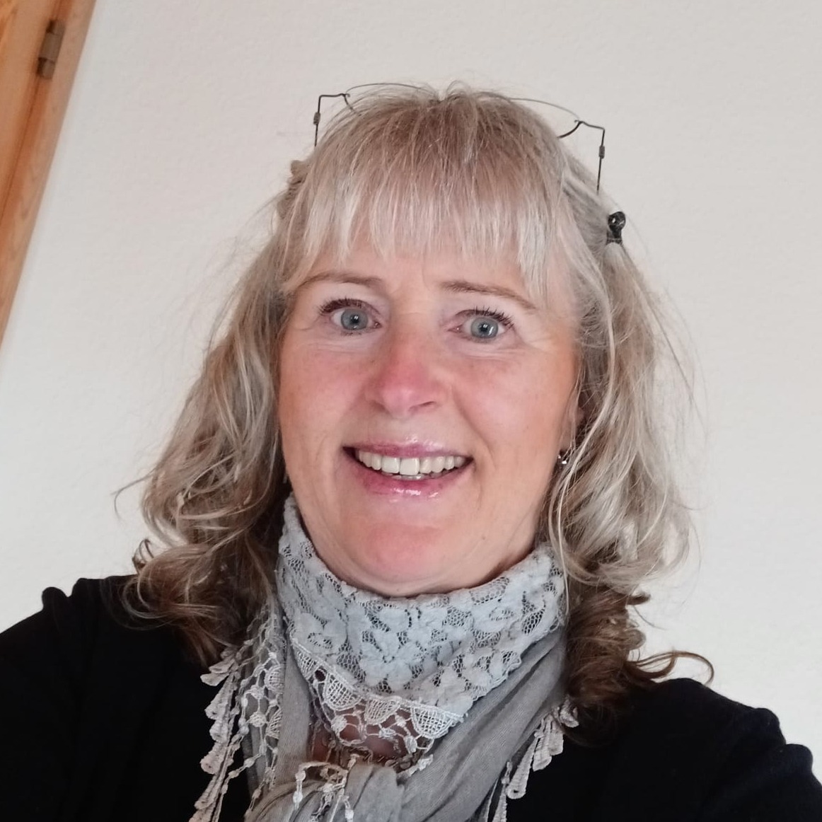 Allianz Versicherung Tom Christian Bertholdt Friedrichstadt - Dörte Pöplau