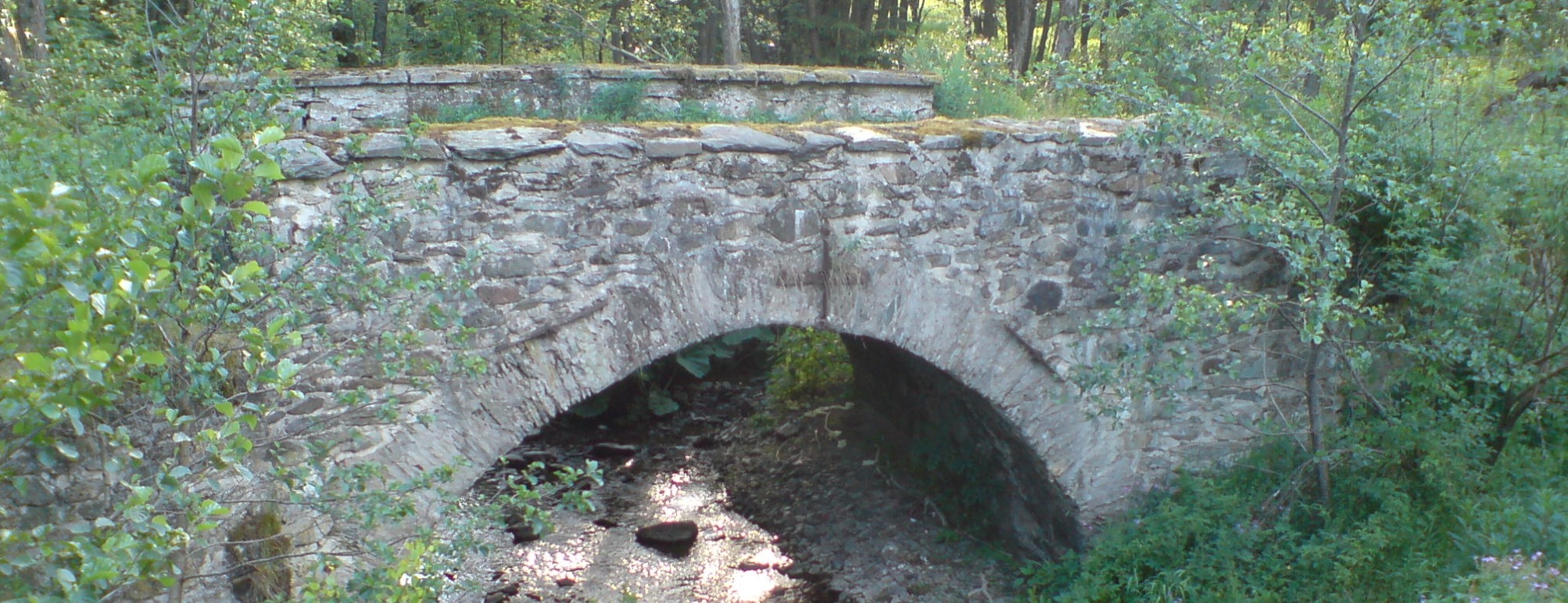 Allianz Versicherung Toni Franzke Saalfeld/Saale - Steinbrücke in Thüringen 