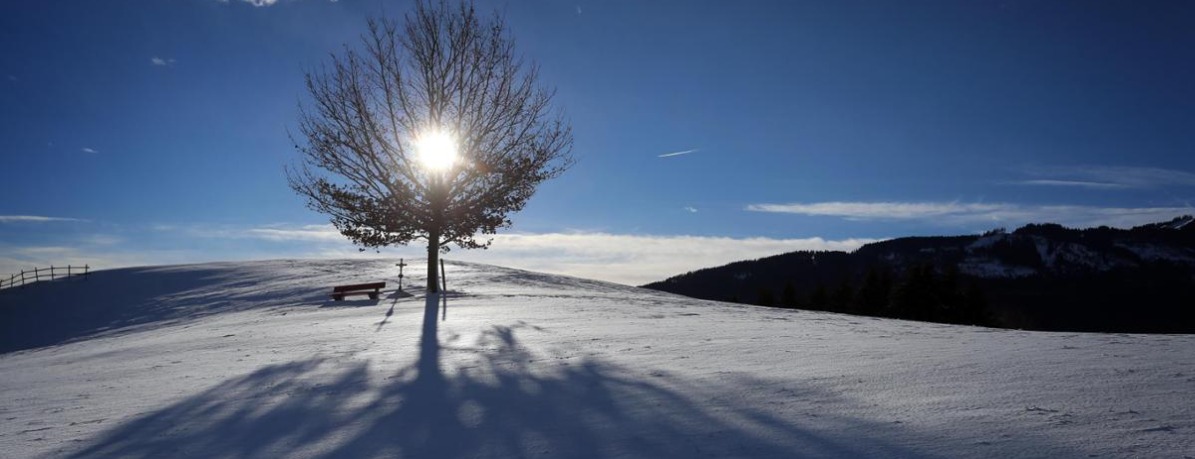 Allianz Versicherung Torsten Athenstaedt Alling - Winter