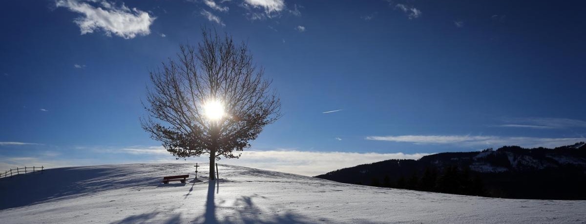 Allianz Versicherung Torsten Athenstaedt Alling - Winter