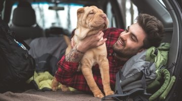 Allianz Versicherung Torsten Hilgers Dormagen - Hund Katze Tierversicherung Neuss Dormagen Pferd