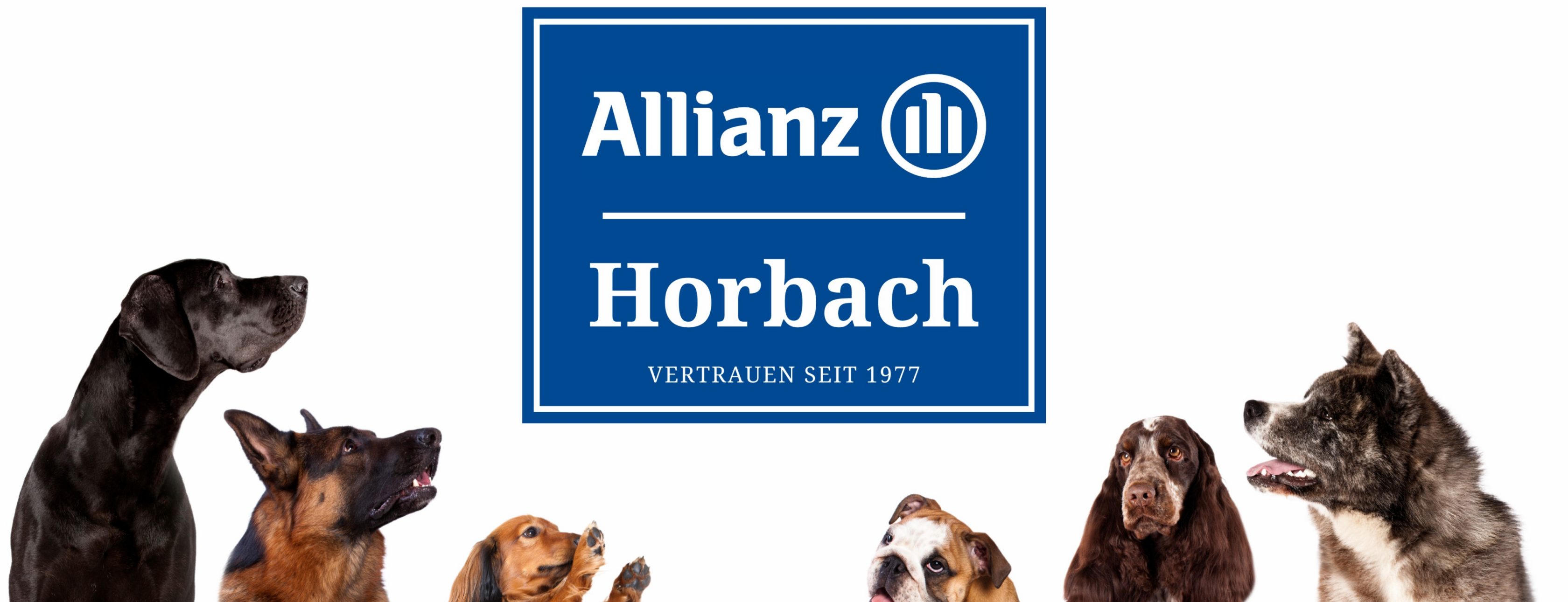 Allianz Versicherung Ulrich Horbach Neunkirchen - Titelbild