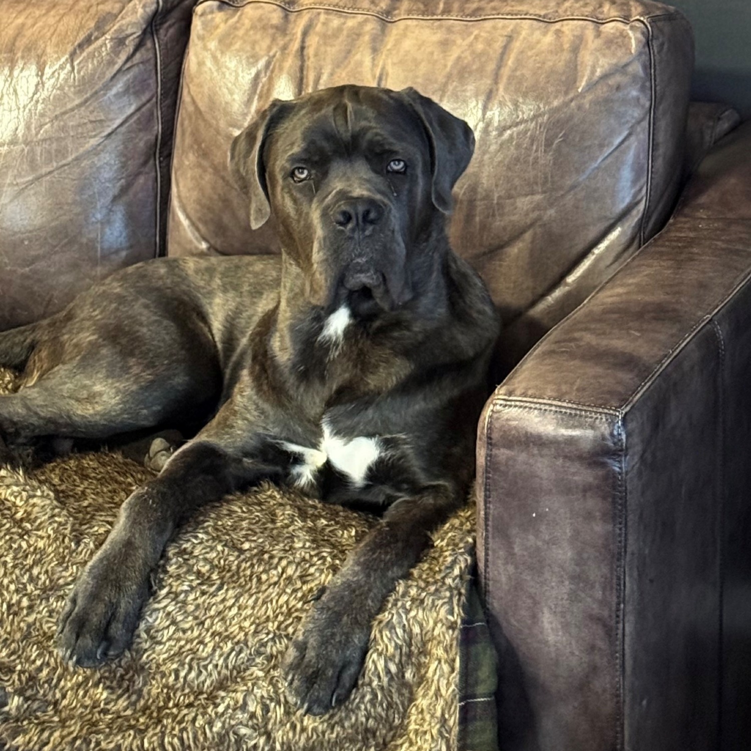 Allianz Versicherung Daniel Marquardt Münster - Eddy