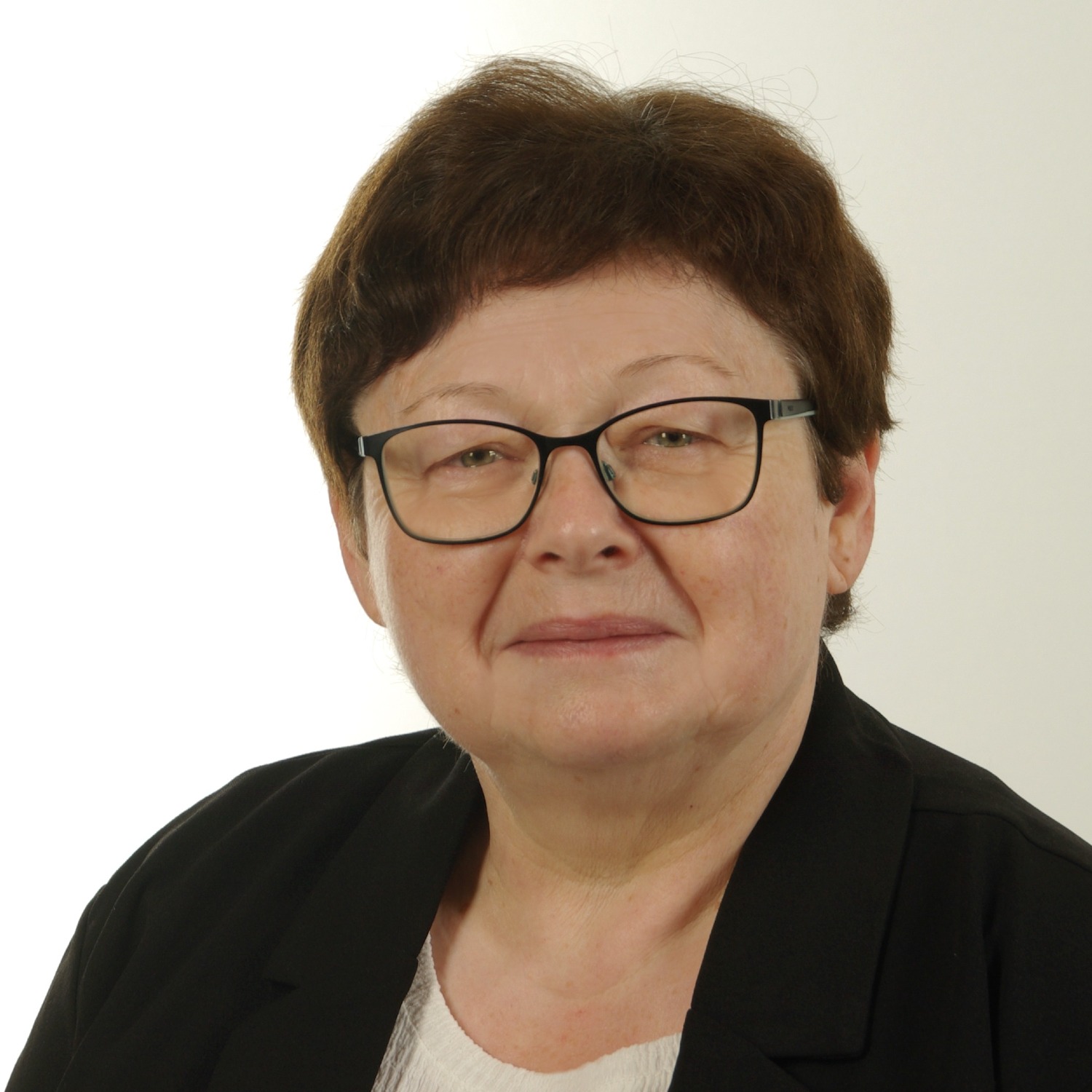 Allianz Versicherung Vico Gohla Delitzsch - Birgit HP