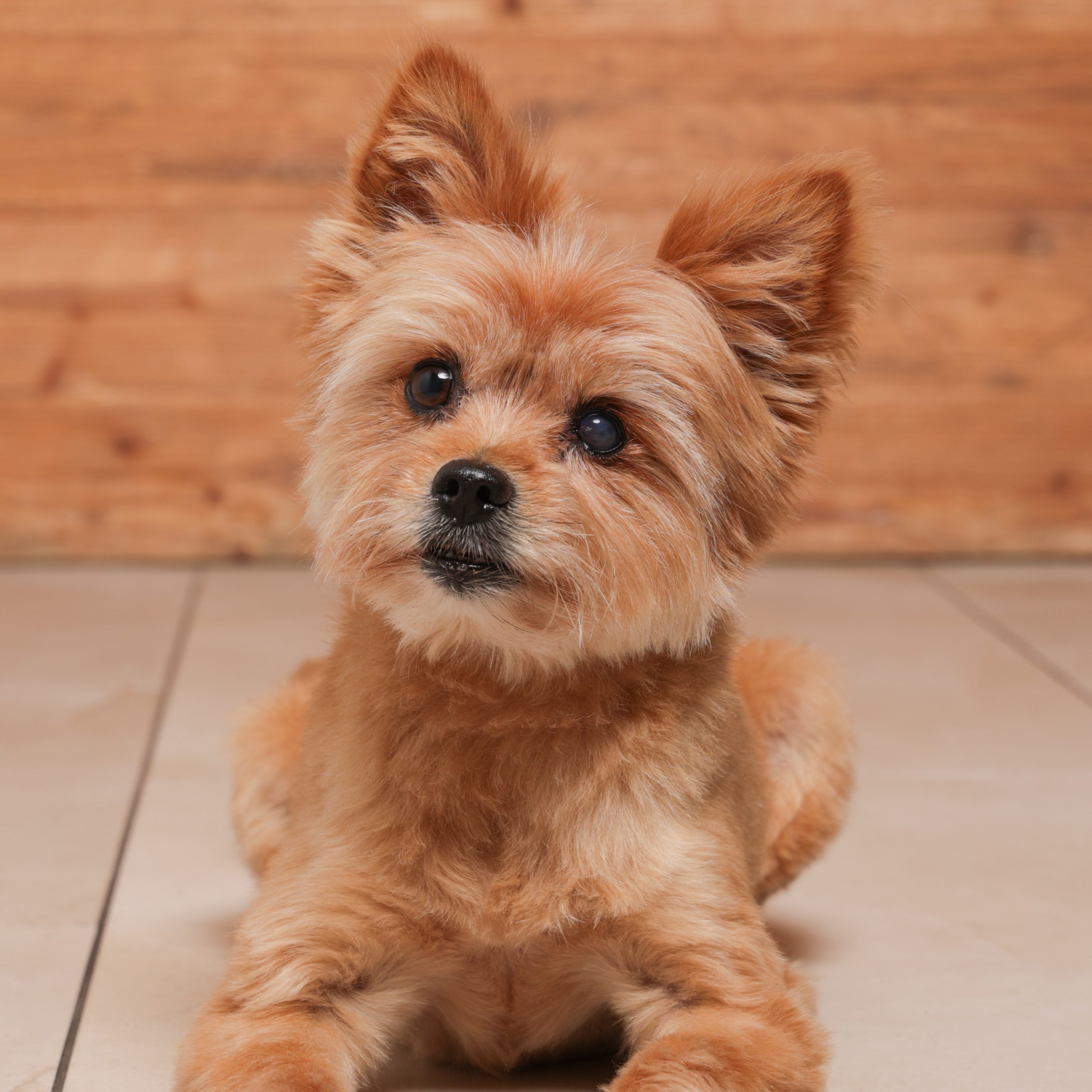 Allianz Versicherung Andreas Vogel Herne - Generalvertretung Allianz Andreas Vogel