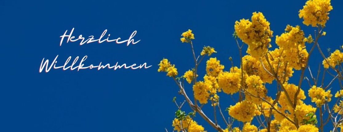 Allianz Versicherung Volker Koch Petershagen - Titelbild