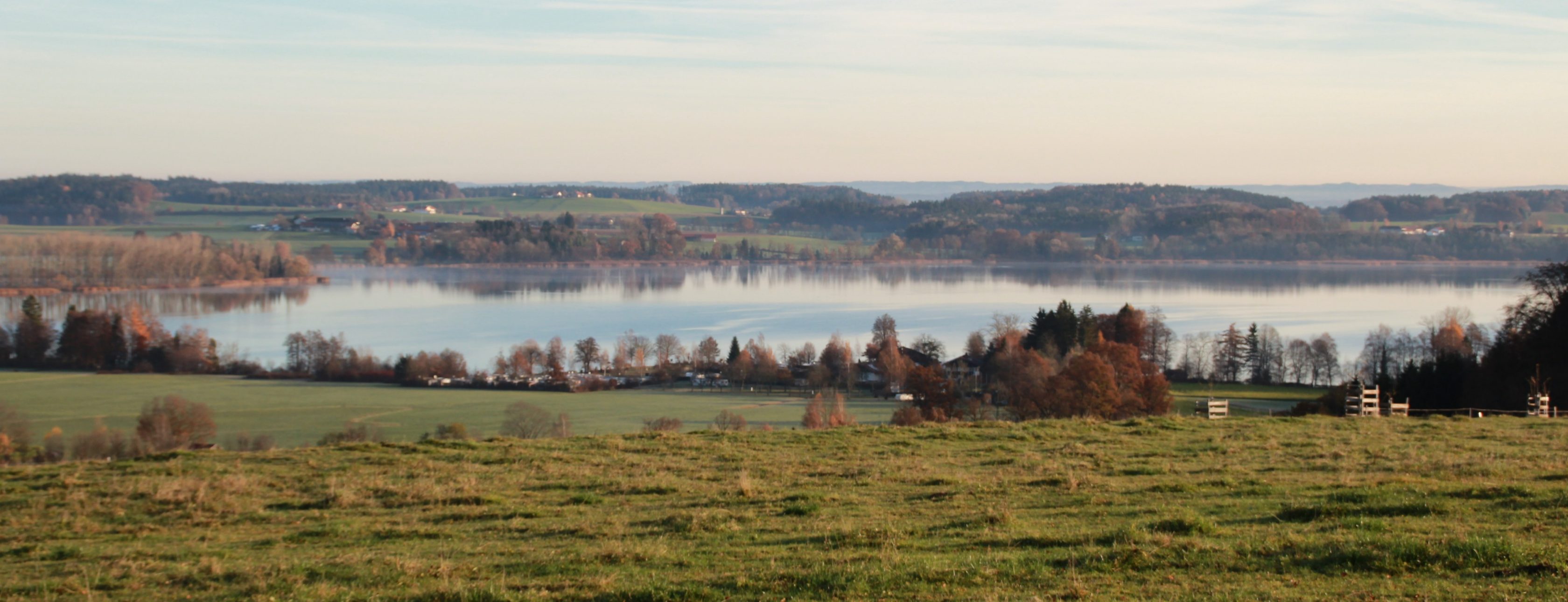 Allianz Versicherung Wolferstetter u.Ruschak Inh.Matthias Wolferstetter Waging am See - Allianz Wolferstetter und Ruschak Waging am See