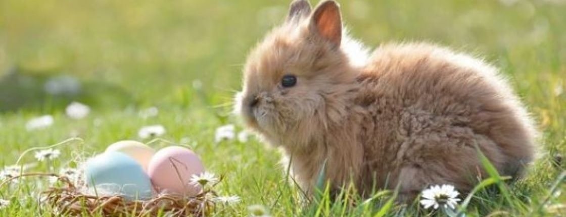 Allianz Versicherung Wurziger und Lenk GbR Glauchau - Kfz-Versicherung Allianz Glauchau Abwerbung Auto